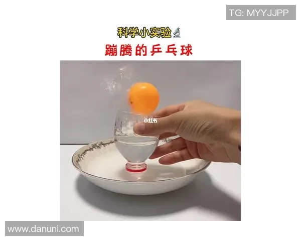 科学乒乓球训练法:提升个人能力的有效技巧与方法分享 科学乒乓球训练法:提升个人能力的有效技巧与方法分享