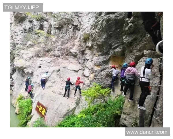 成都攀岩队与武汉攀岩队的团队协作赛后分析与反思